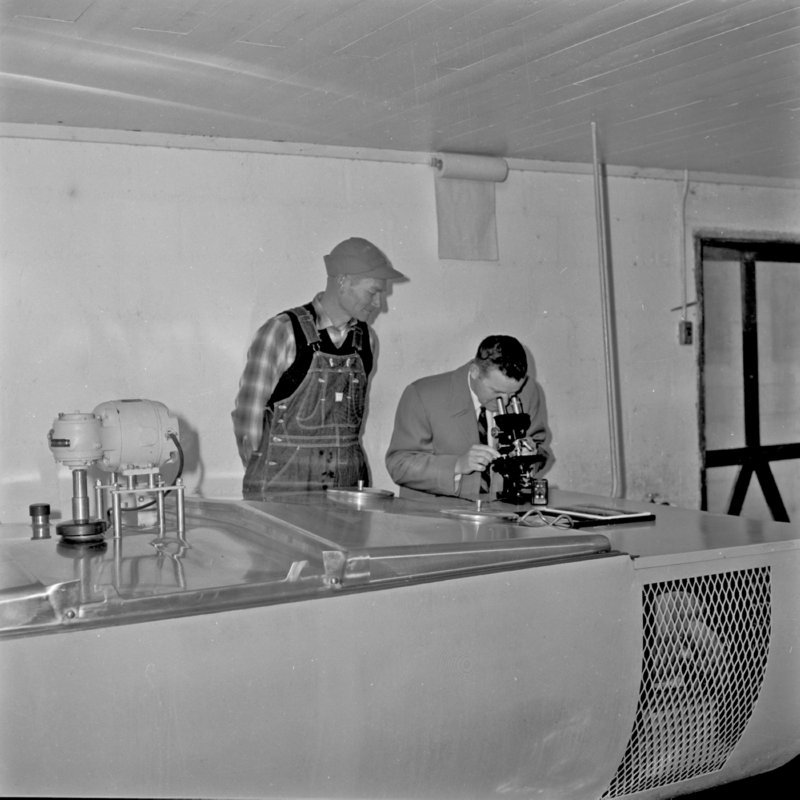 078_microbiology also aided milk quality. (1958).jpg